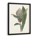 Pantalla De Orquídeas Iii - Melissa Wang | Cuadro decorativo de Canvas Lab