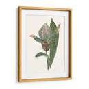 Pantalla De Orquídeas Iii - Melissa Wang | Cuadro decorativo de Canvas Lab