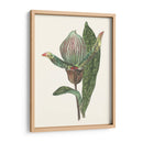 Pantalla De Orquídeas Iii - Melissa Wang | Cuadro decorativo de Canvas Lab