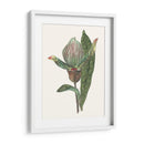 Pantalla De Orquídeas Iii - Melissa Wang | Cuadro decorativo de Canvas Lab