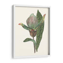 Pantalla De Orquídeas Iii - Melissa Wang | Cuadro decorativo de Canvas Lab