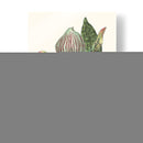 Pantalla De Orquídeas Iii - Melissa Wang | Cuadro decorativo de Canvas Lab