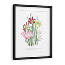 Lily Garden I - Jane Loudon | Cuadro decorativo de Canvas Lab