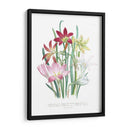 Lily Garden I - Jane Loudon | Cuadro decorativo de Canvas Lab