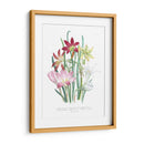 Lily Garden I - Jane Loudon | Cuadro decorativo de Canvas Lab