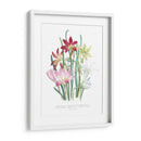 Lily Garden I - Jane Loudon | Cuadro decorativo de Canvas Lab