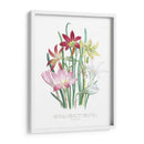 Lily Garden I - Jane Loudon | Cuadro decorativo de Canvas Lab
