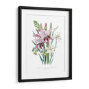 Lily Garden Ii - Jane Loudon | Cuadro decorativo de Canvas Lab