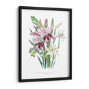 Lily Garden Ii - Jane Loudon | Cuadro decorativo de Canvas Lab