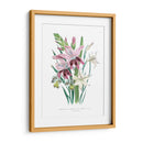 Lily Garden Ii - Jane Loudon | Cuadro decorativo de Canvas Lab