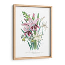 Lily Garden Ii - Jane Loudon | Cuadro decorativo de Canvas Lab