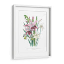 Lily Garden Ii - Jane Loudon | Cuadro decorativo de Canvas Lab
