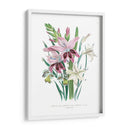Lily Garden Ii - Jane Loudon | Cuadro decorativo de Canvas Lab