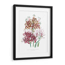 Lily Garden Iii - Jane Loudon | Cuadro decorativo de Canvas Lab