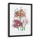 Lily Garden Iii - Jane Loudon | Cuadro decorativo de Canvas Lab
