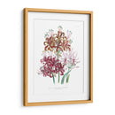 Lily Garden Iii - Jane Loudon | Cuadro decorativo de Canvas Lab