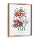Lily Garden Iii - Jane Loudon | Cuadro decorativo de Canvas Lab