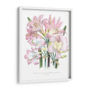 Lily Garden Iv - Jane Loudon | Cuadro decorativo de Canvas Lab