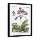 Viñeta De Jardín I - Johann De Bry | Cuadro decorativo de Canvas Lab