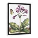 Viñeta De Jardín I - Johann De Bry | Cuadro decorativo de Canvas Lab