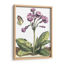 Viñeta De Jardín I - Johann De Bry | Cuadro decorativo de Canvas Lab