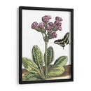 Viñeta Garden Ii - Johann De Bry | Cuadro decorativo de Canvas Lab