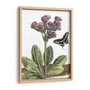 Viñeta Garden Ii - Johann De Bry | Cuadro decorativo de Canvas Lab