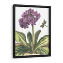 Viñeta Garden Iii - Johann De Bry | Cuadro decorativo de Canvas Lab