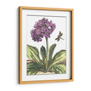 Viñeta Garden Iii - Johann De Bry | Cuadro decorativo de Canvas Lab