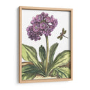 Viñeta Garden Iii - Johann De Bry | Cuadro decorativo de Canvas Lab