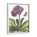 Viñeta Garden Iii - Johann De Bry | Cuadro decorativo de Canvas Lab