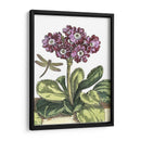 Jardín Viñeta Iv - Johann De Bry | Cuadro decorativo de Canvas Lab