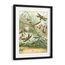 Dragonfly Reuniendo I - Vision Studio | Cuadro decorativo de Canvas Lab