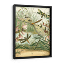 Dragonfly Reuniendo I - Vision Studio | Cuadro decorativo de Canvas Lab