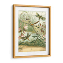 Dragonfly Reuniendo I - Vision Studio | Cuadro decorativo de Canvas Lab