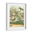 Dragonfly Reuniendo I - Vision Studio | Cuadro decorativo de Canvas Lab