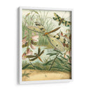 Dragonfly Reuniendo I - Vision Studio | Cuadro decorativo de Canvas Lab