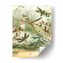 Dragonfly Reuniendo I - Vision Studio | Cuadro decorativo de Canvas Lab