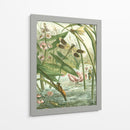 Recolección De Libélulas II-II - Vision Studio | Cuadro decorativo de Canvas Lab