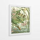 Recolección De Libélulas II-II - Vision Studio | Cuadro decorativo de Canvas Lab