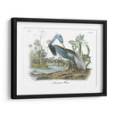 Leuisiana Heron - John James Audubon | Cuadro decorativo de Canvas Lab