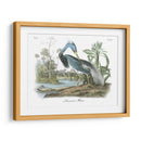 Leuisiana Heron - John James Audubon | Cuadro decorativo de Canvas Lab