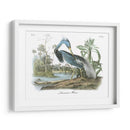Leuisiana Heron - John James Audubon | Cuadro decorativo de Canvas Lab