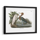 Egret Rojizo - John James Audubon | Cuadro decorativo de Canvas Lab