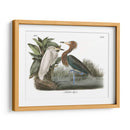 Egret Rojizo - John James Audubon | Cuadro decorativo de Canvas Lab