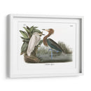 Egret Rojizo - John James Audubon | Cuadro decorativo de Canvas Lab