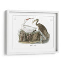 Ibis Blanco - John James Audubon | Cuadro decorativo de Canvas Lab