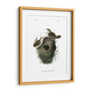 Marsh Fill Wren - John James Audubon | Cuadro decorativo de Canvas Lab
