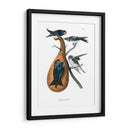 Martin Púrpura - John James Audubon | Cuadro decorativo de Canvas Lab