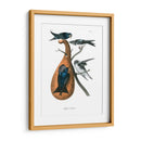 Martin Púrpura - John James Audubon | Cuadro decorativo de Canvas Lab